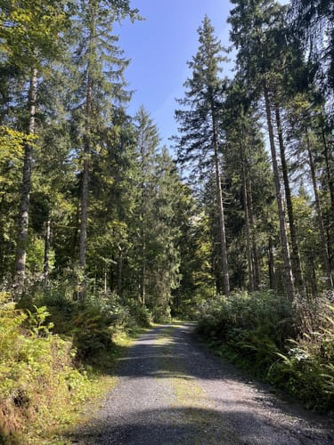 Stübenwasenspur