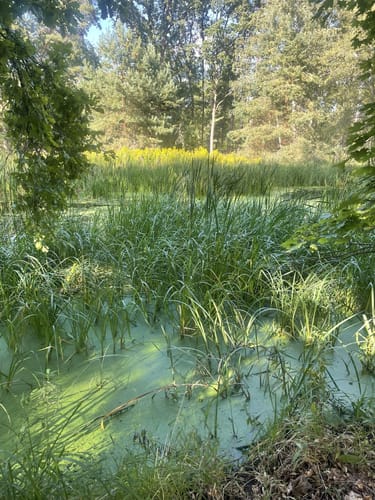 Kuhlake Rundweg