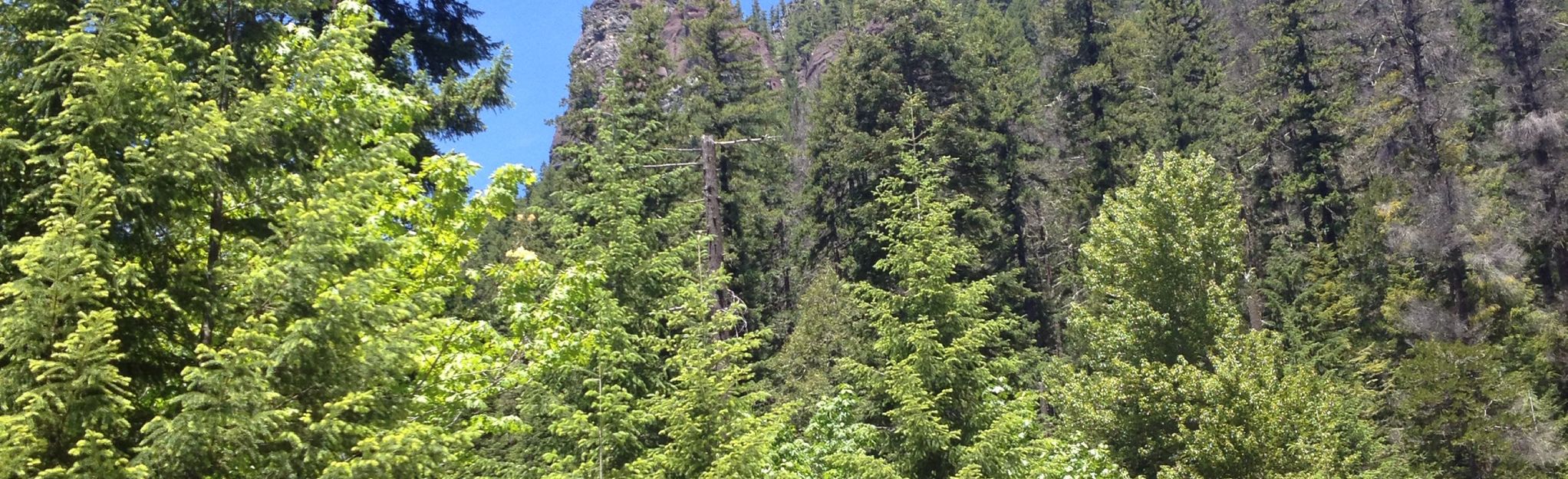 Moon Point and Young's Rock via Young's Creek Trail Map, Guide