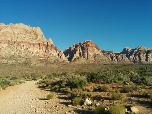 10 Best Hikes and Trails in Red Rock Canyon National Conservation