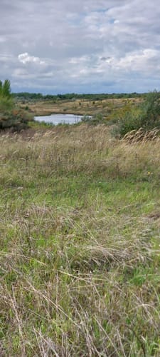 Naturlehrpfad Grabschützer See