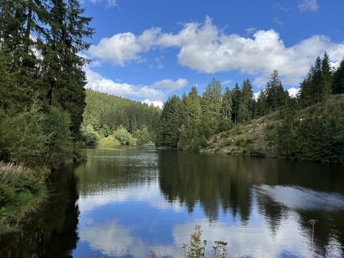 Zum Grumbacher Teich und dem Maaßener Gaipel