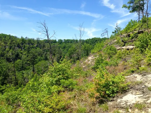 Hidden Trails And Unforgettable Views Natural Bridge State Park Ky Awaits - gxmnlrp