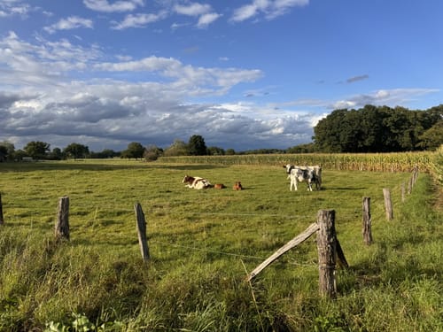 Durch den Westen von Ochtrup