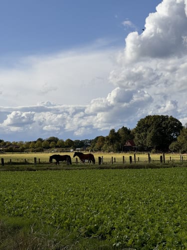 Durch den Westen von Ochtrup