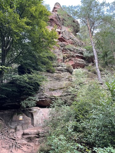 Dahner Felsenpfad (Premiumwanderweg)
