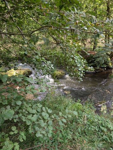 Von Lindenhof zum Mühlnickelweiher durch das NSG Waldnaabtal