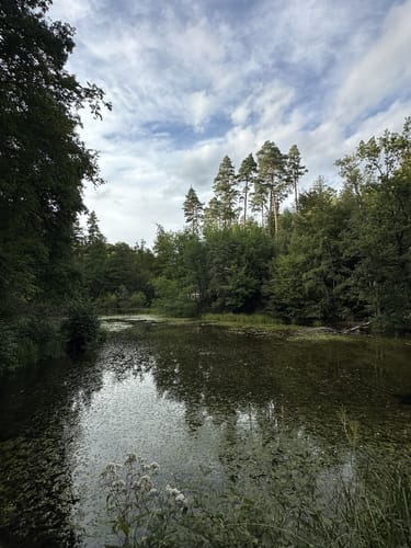 Pfaffensee - Neuer See - Bärensee