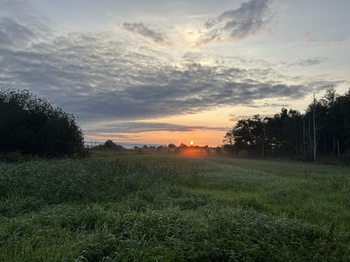 Chiemsee Rundweg