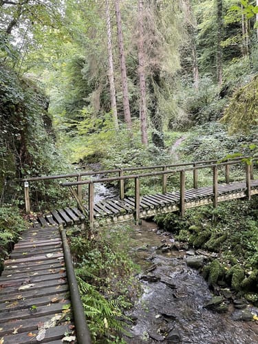 Enderttal Rundweg ab Cochem