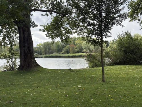 Homburger Platz - Ilmenau Teiche