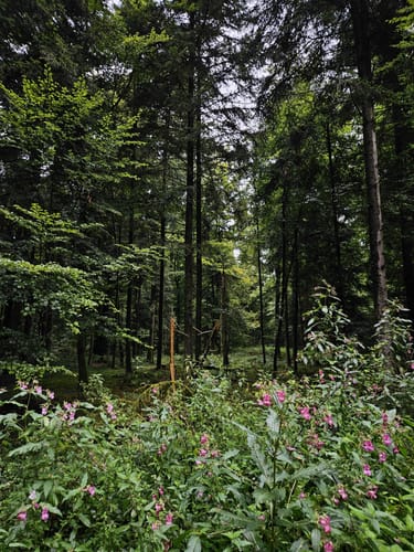 Rund um den Trimmdichpfad Schäferhof