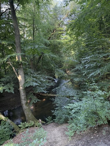 Aumühle-Sachsenwaldau-Runde