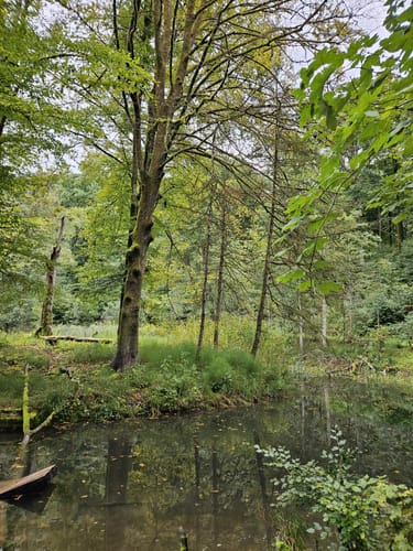 Rund um den Trimmdichpfad Schäferhof