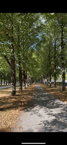 Stadtspaziergang Hannover zum Schloss Herrenhausen