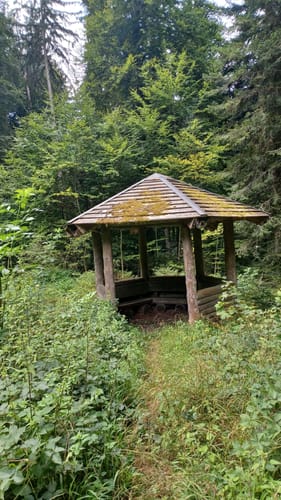 Tettnangerwald ab Laimnau
