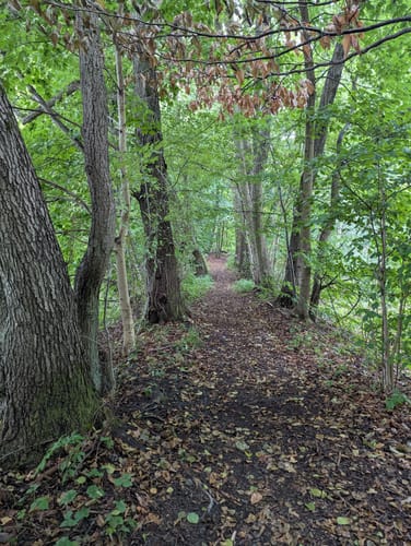 Rund um Liebenberg