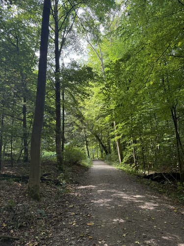 Wohldorferwald Rundweg