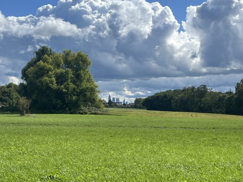 Niederhöchstadt - Skulpturenpark - Tal des Westerbachs