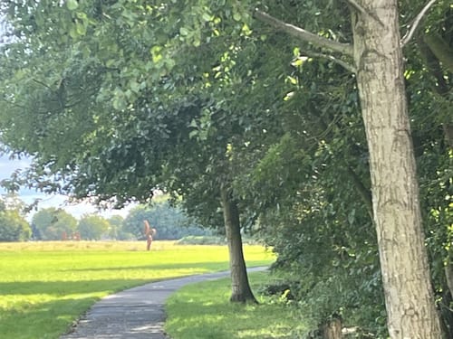 Niederhöchstadt - Skulpturenpark - Tal des Westerbachs