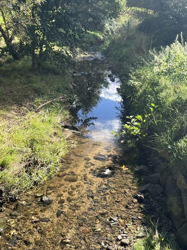 Niederhöchstadt - Skulpturenpark - Tal des Westerbachs