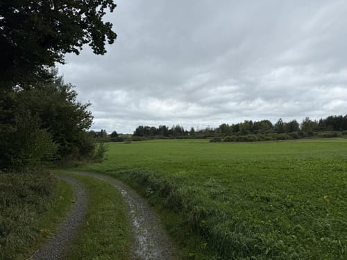 Weg durch Alte Siedlungsformen