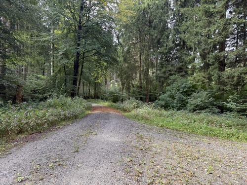 Weg durch Alte Siedlungsformen