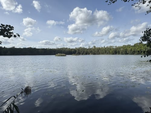 Rund um den Franziskussee und den Untersee