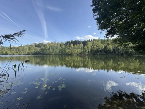 Rund um den Franziskussee und den Untersee