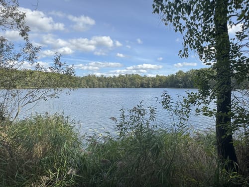 Rund um den Franziskussee und den Untersee
