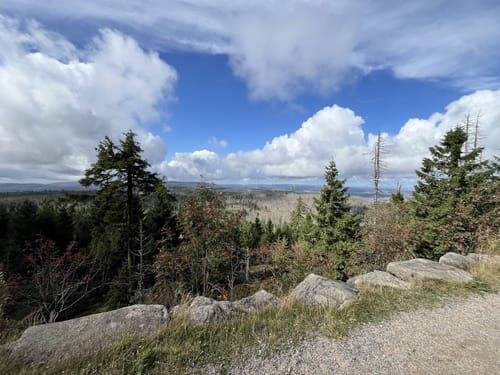 Auf dem Goetheweg zum Brocken