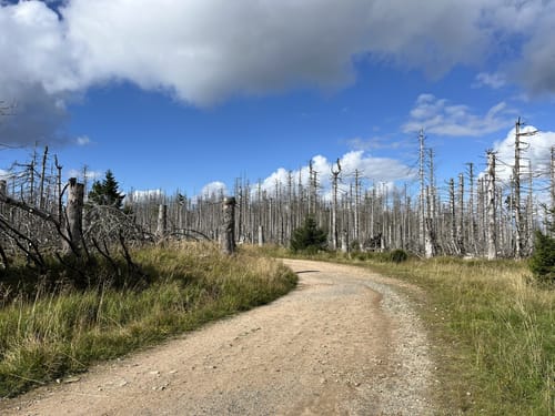 Auf dem Goetheweg zum Brocken
