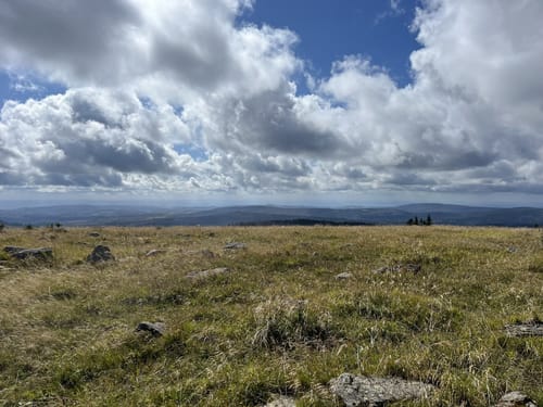 Auf dem Goetheweg zum Brocken