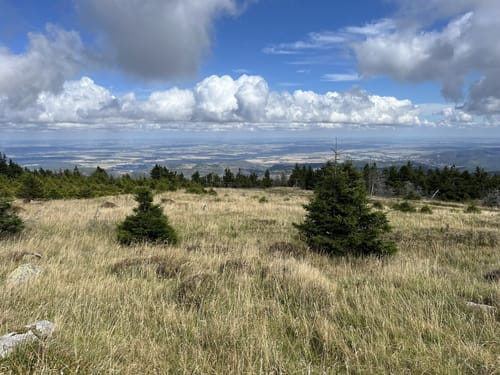 Auf dem Goetheweg zum Brocken