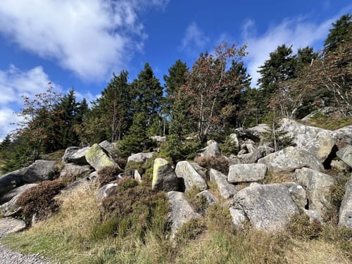 Auf dem Goetheweg zum Brocken