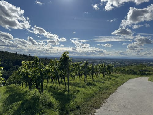 Staatspark Fürstenlager Rundweg