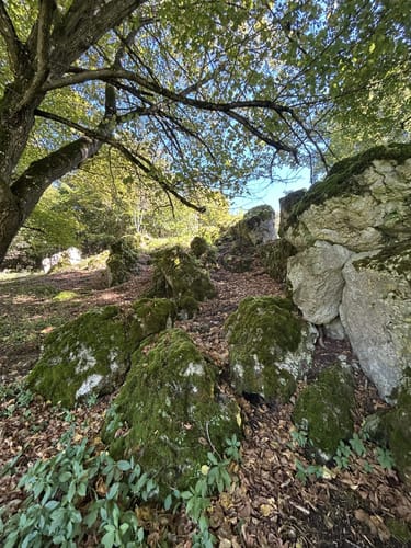 Burgruine Velburg und Hohllochhöhle