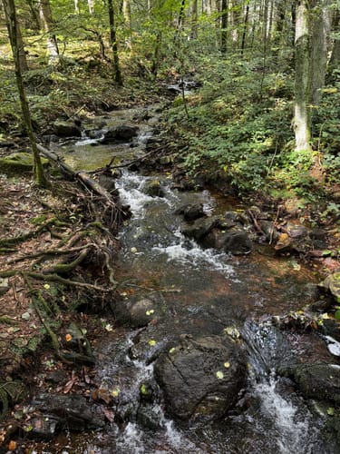 Zwei-Täler-Weg (Traumschleife)