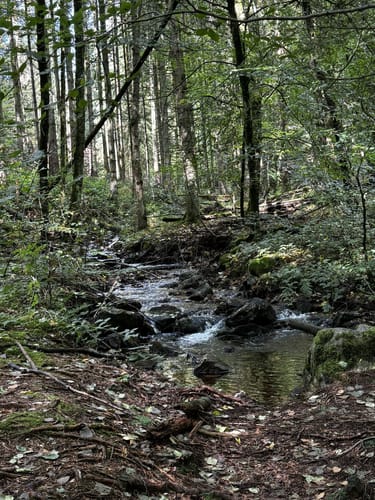 Zwei-Täler-Weg (Traumschleife)