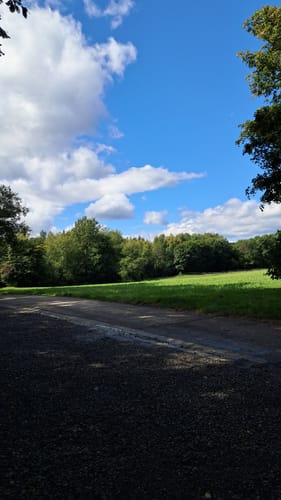 Neckarsteig Etappe 3: Neckarsteinach - Hirschhorn