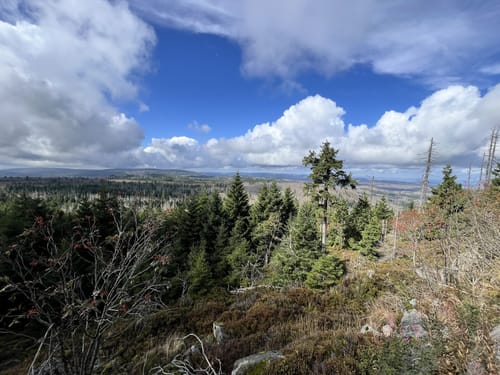 Auf dem Goetheweg zum Brocken