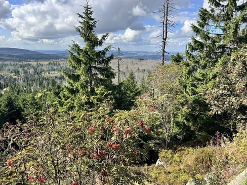 Auf dem Goetheweg zum Brocken