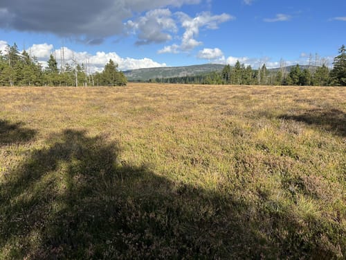 Auf dem Goetheweg zum Brocken