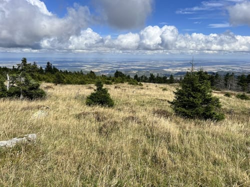 Auf dem Goetheweg zum Brocken