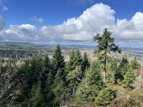 Auf dem Goetheweg zum Brocken
