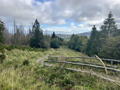 Auf dem Goetheweg zum Brocken