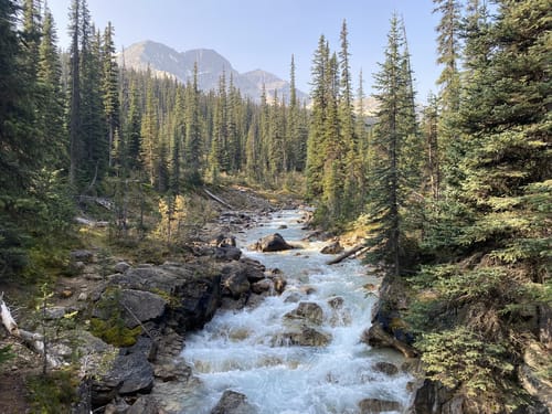 Waterfall Valley - hikes and trails to get you there | AllTrails