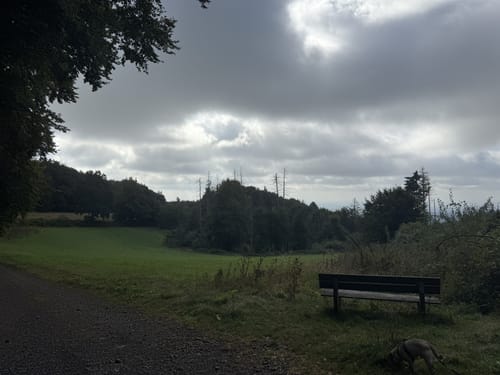 Wittekindsweg Etappe 4: Großer Kellenberg - Nettelstedt