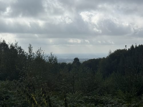 Wittekindsweg Etappe 4: Großer Kellenberg - Nettelstedt