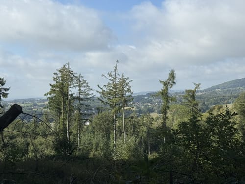 Wittekindsweg Etappe 4: Großer Kellenberg - Nettelstedt